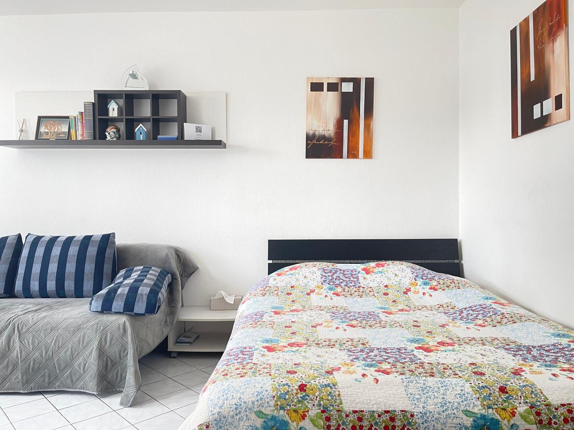 Cool Studio Saint Louis Vicino Stazione/Aereoporto Διαμέρισμα Εξωτερικό φωτογραφία